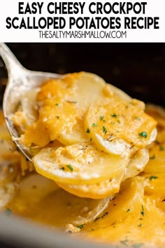 a spoon full of cheesy crockpot scalloped potatoes