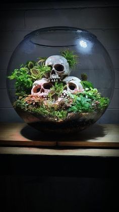 a fish bowl filled with plants and skulls