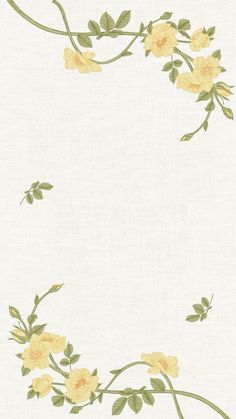 yellow roses on white background with green leaves