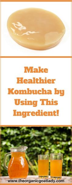 the words make healthier kombucha by using this ingredient