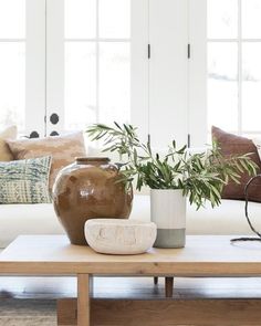 a living room filled with furniture and a potted plant on top of a coffee table