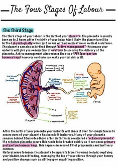 the four stages of laborour for babies and toddlers is shown in this diagram