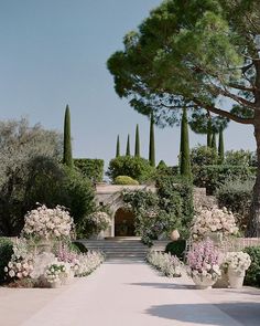 an image of a garden setting with flowers and trees