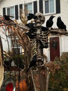 Halloween Home Decor Outdoor Scary, Scary Scarecrow Decorations, Halloween Outdoor Window Decorations, Diy Haunted House Ideas Front Porch, Plague Halloween Decor, Salem Outdoor Halloween Decor, Diy Scary Tree Prop, Scarecrow Halloween Yard Decoration, Cemetary Halloween Ideas