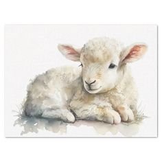 a watercolor painting of a lamb laying down