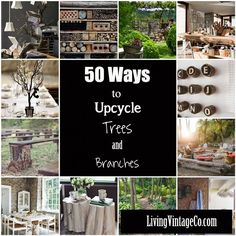 the cover of 50 ways to upcycle trees and branches, with pictures of various types of furniture