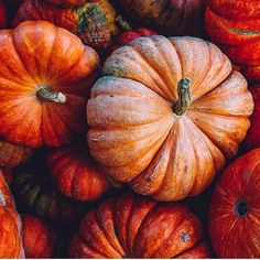 a pile of pumpkins sitting next to each other