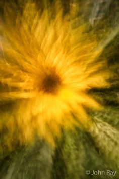 a blurry photo of a yellow and green flower