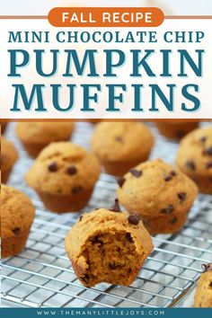 pumpkin muffins on a cooling rack with text overlay that reads fall recipe mini chocolate chip pumpkin muffins