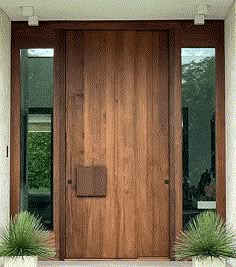 two potted plants sit in front of a wooden door