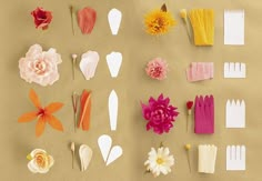 several different types of flowers are arranged on a brown paper background with white and yellow pins