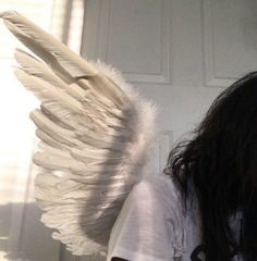 a woman with long hair and angel wings