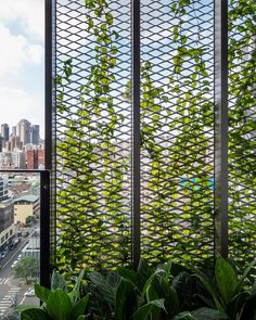 green plants are growing on the side of a window in front of a cityscape