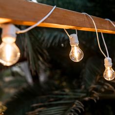 some light bulbs are hanging from a wooden beam