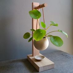 a potted plant in a white vase on a wooden stand