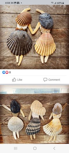 two pictures with different shells on them