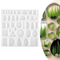 an assortment of green plants and shapes in plastic trays on a table next to a plate