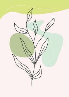 a drawing of a plant on a pink and green background