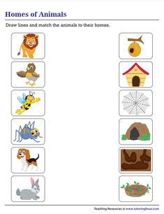 worksheet for kids to learn how to write and draw animals in their homes