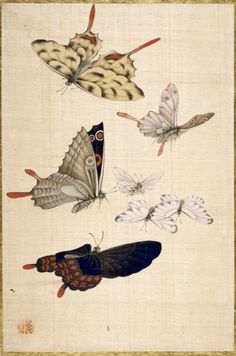 four butterflies flying in the air with one on its back and two on it's wings