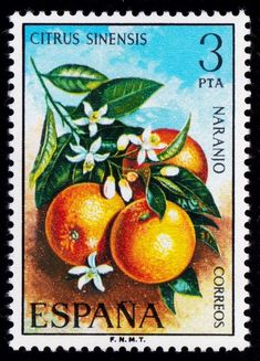 a stamp with oranges and flowers on the front, printed in spanish for espana