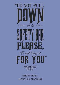 a poster with the words don't pull down on the safety bar please, will lower it for you