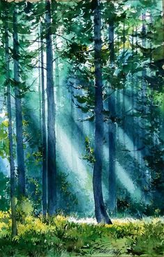 watercolor painting of sunbeams in the woods with grass and flowers on the ground