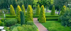 an aerial view of a garden with many trees and bushes