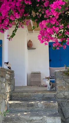 two cats are sitting on the steps under pink flowers