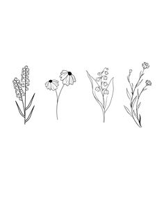 four different types of flowers on a white background