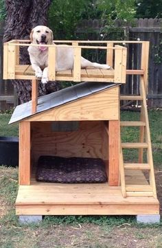 a dog standing on top of a bunk bed in the grass next to a tree