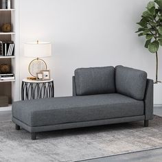 a living room with a blue couch and bookshelf on the wall next to it