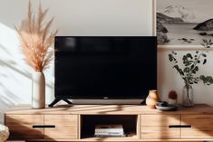 a flat screen tv sitting on top of a wooden entertainment center next to a plant