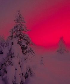 the sun is setting over some snow covered trees in the distance, with pink sky