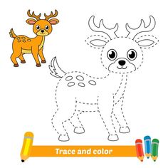 deer to be colored, the coloring book for preschool kids