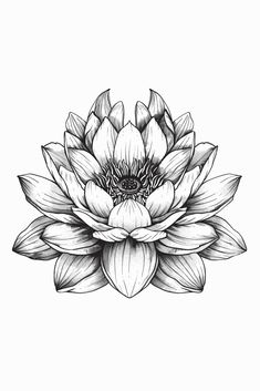 a black and white drawing of a lotus flower with leaves on it's petals