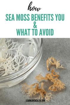 foods to eat for prostate health Sea Moss Benefits, Benefits Of Sea Moss, Seamoss Benefits, Natural Food Supplements, Irish Sea Moss, Sea Moss Gel, Post Workout Smoothie, Workout Smoothies