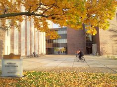 a person riding a bike in front of a building with yellow leaves on the ground