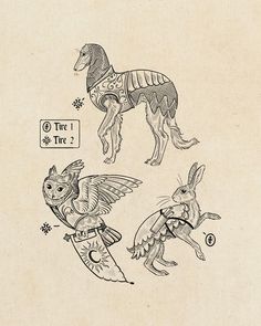 three drawings of animals with wings and numbers on them, including the letter c in upper left corner