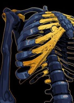 an image of a skeleton that is yellow and black