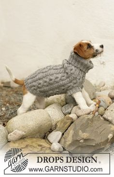 a dog figurine is standing on some rocks