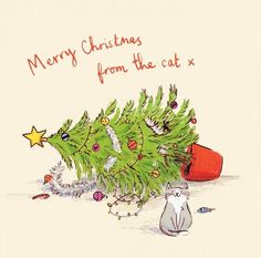 a christmas card with a cat next to a green tree and a red cone that says merry christmas from the cat x