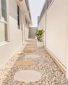 a long narrow walkway with stepping stones on both sides and a potted plant in the middle