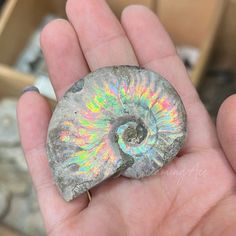 a person holding a rock with iridescent colors in their palm, while wearing a ring