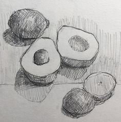 pencil drawing of an avocado sliced in half