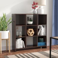 a living room with a plant and bookshelf on the floor in front of a window