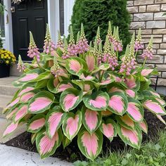 pink and green flowers in front of a house