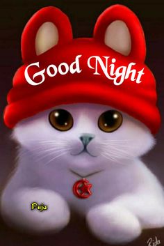 a white cat wearing a red hat with the words good night on it's side