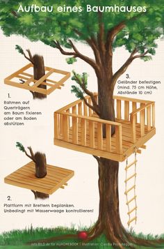 the instructions for building a tree house