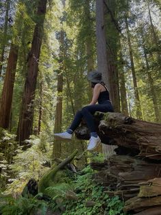 a woman sitting on top of a fallen tree in the middle of a lush green forest